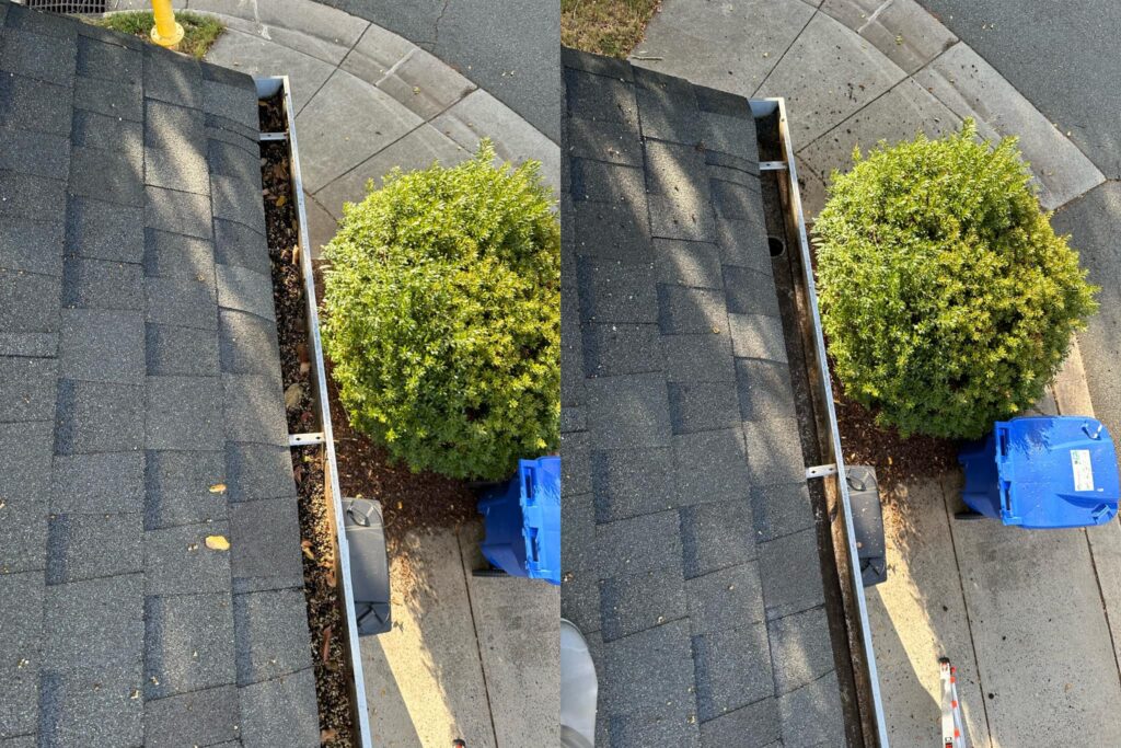 Gutter Cleaning